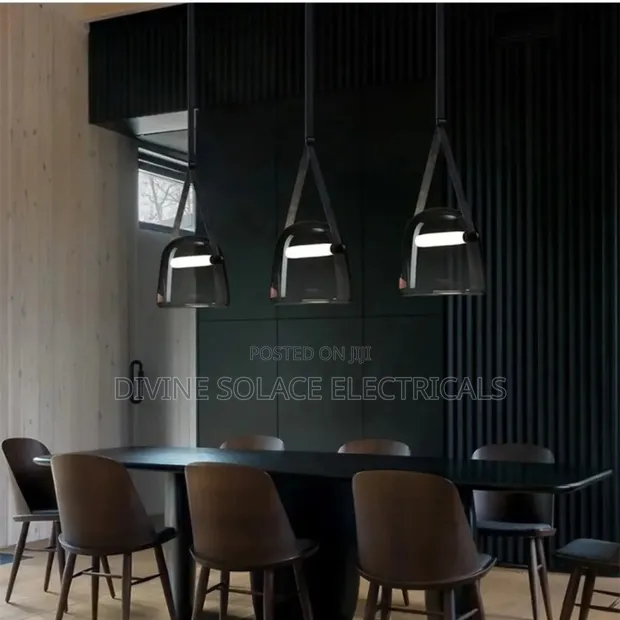 Brand New d.light Pendant Light - 1