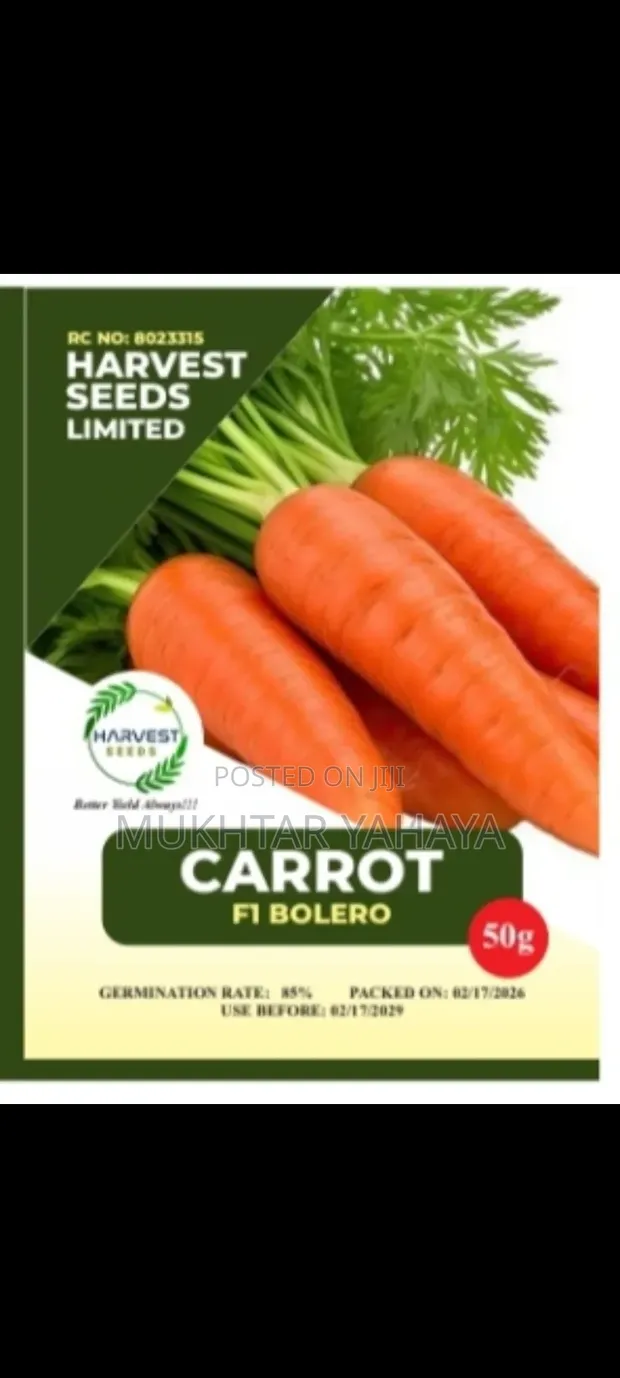 1st Choice Carrot Seeds (Bolero Variety) - 1
