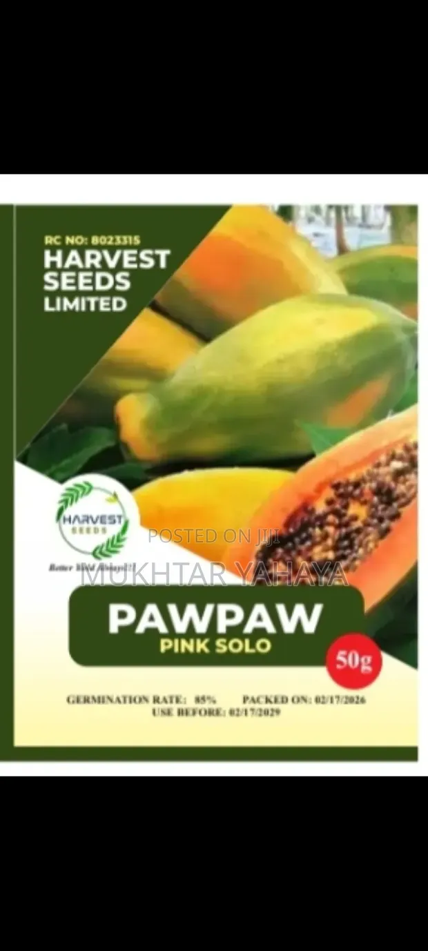 Pawpaw Seeds (Pink Solo Variety) - 200 Seeds - 1