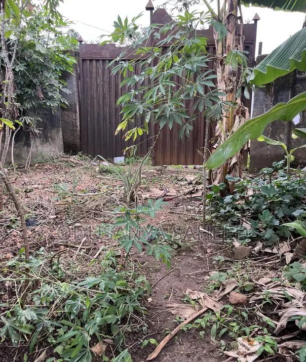 2 Plots of Dry Land for Sale, Ijede/Ikorodu - 1