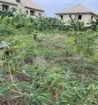Filin 2 na Kasa busasshi don Siyarwa, Ijede/Ikorodu - 2