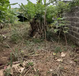Filin 2 na Kasa busasshi don Siyarwa, Ijede/Ikorodu