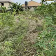 Filin 2 na Kasa busasshi don Siyarwa, Ijede/Ikorodu - 4