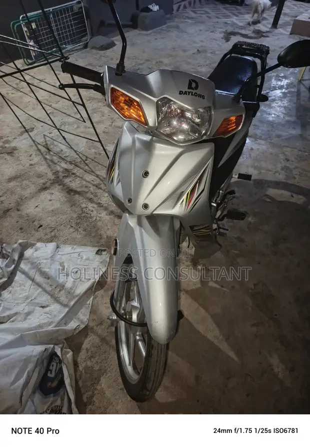 Daylong DL110-7 UD 2025 Silver Ladies' Bike - 1
