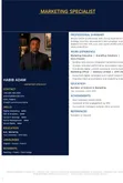 3 Premium Editable CV Templates - 1