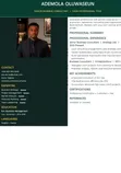 3 Premium Editable CV Templates - 2