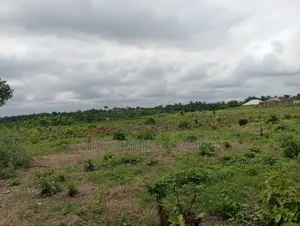 Filin Moniya Railway Hub Don Siyarwa
