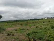 Filin Moniya Railway Hub Don Siyarwa - 1
