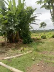 Filin Moniya Railway Hub Don Siyarwa - 2