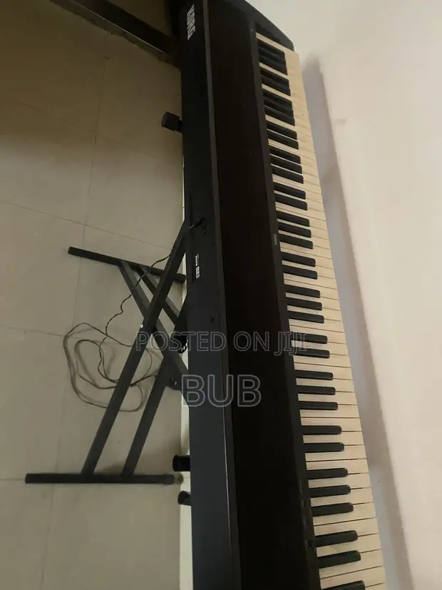 Korg Electronic Keyboard - 1