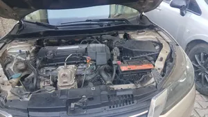 Honda Accord 2014 Gold