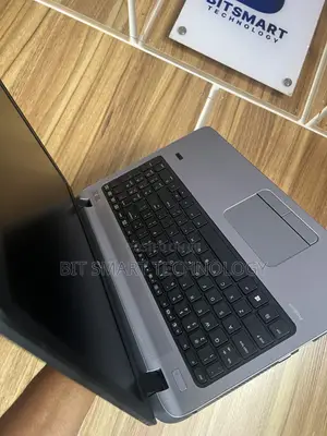 HP ProBook 445 G2 Laptop - 8GB RAM, 500GB HDD
