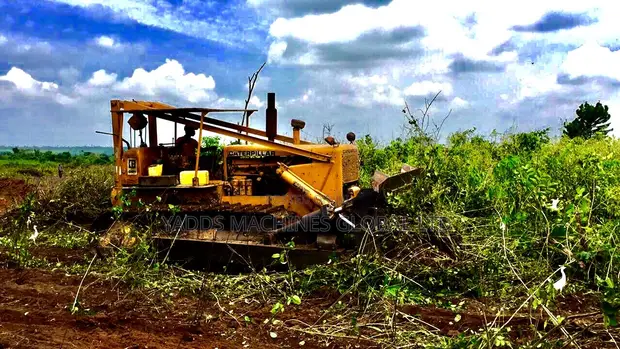D8K Bulldozer for Bush Clearing - 1
