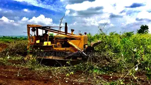 D8K Bulldozer for Bush Clearing