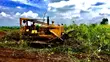 D8K Bulldozer for Bush Clearing - 1