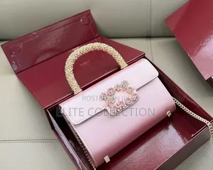 Luxury Roger Rivier Handbag