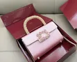 Luxury Roger Rivier Handbag - 1