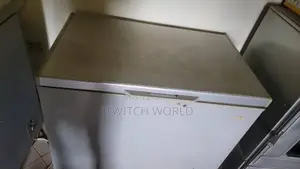 Radof 400L Freezer