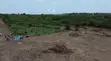 Estate Land for Sale - Behind LASU Epe Campus (250-500sqm) - 1