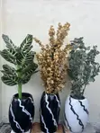 Luxury Black & White Designer Vases with Botanical Arrangements (Set of 3) - 1