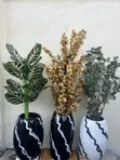 Luxury Black & White Designer Vases with Botanical Arrangements (Set of 3) - 2