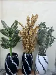Luxury Black & White Designer Vases with Botanical Arrangements (Set of 3) - 3