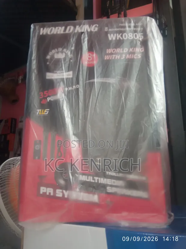 Worldking PA System 8 Inch with 3 Wireless Mics - 1