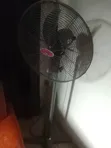 Ox Fan Mai Tsayuwa 20-inch - 1