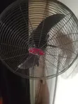 Ox Fan Mai Tsayuwa 20-inch - 3