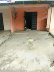 Shoro don haya a kan titin Ekpri Nsukara, Uyo - 1