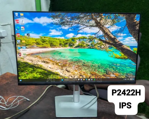 Dell P2422H 24-Inch Full HD Business Monitor - 1