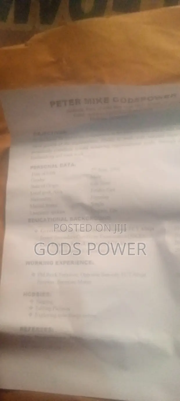 Accounting & Finance CV - Godspower - 1