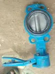 Butterfly Valve - 1