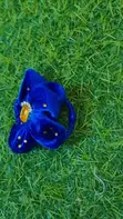 Velvet Flower Hair Ties by Zee.flow - 4