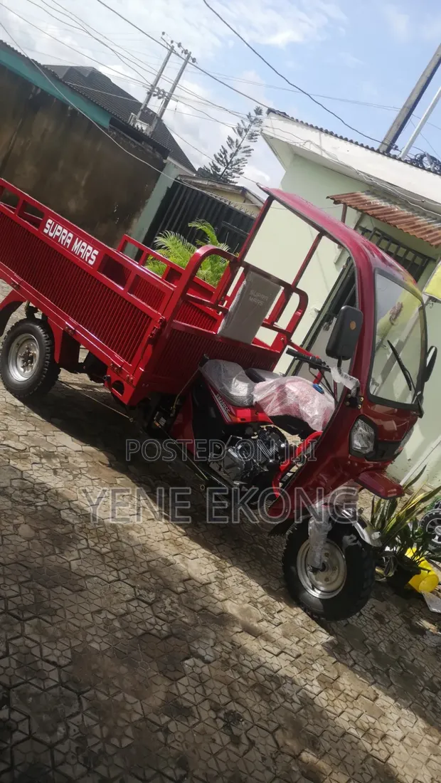 New 2025 Red Tricycle - 200cc - 1