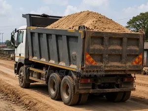 Direban Tipper Truck Akwai don Aiki