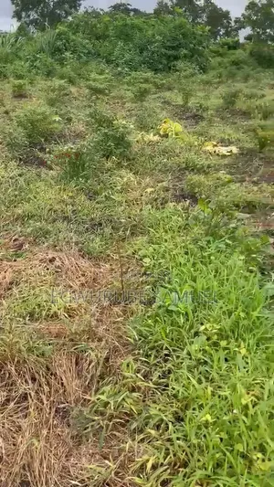 30 Acres Land for Lease in Oyo State