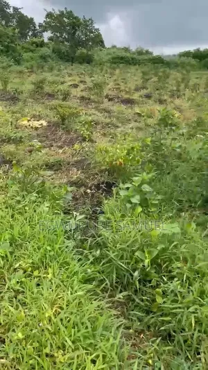 30 Acres Land for Lease in Oyo State
