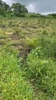 30 Acres Land for Lease in Oyo State - 2