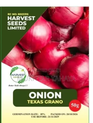 1st Choice Texas Grano Onion Seeds