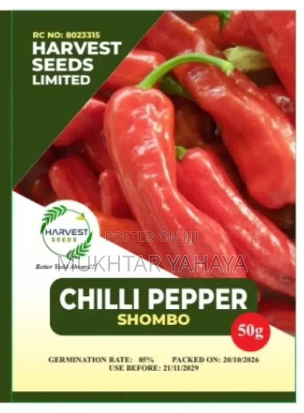 1st Choice Chilli Pepper (Shombo) Seeds - 1