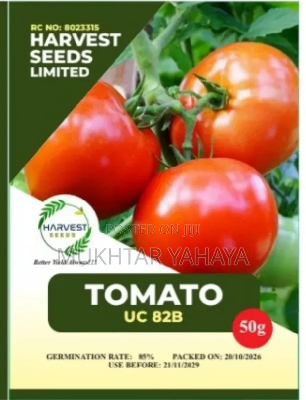 1st Choice UC 82B Tomato Seeds (300 Seeds) - 1