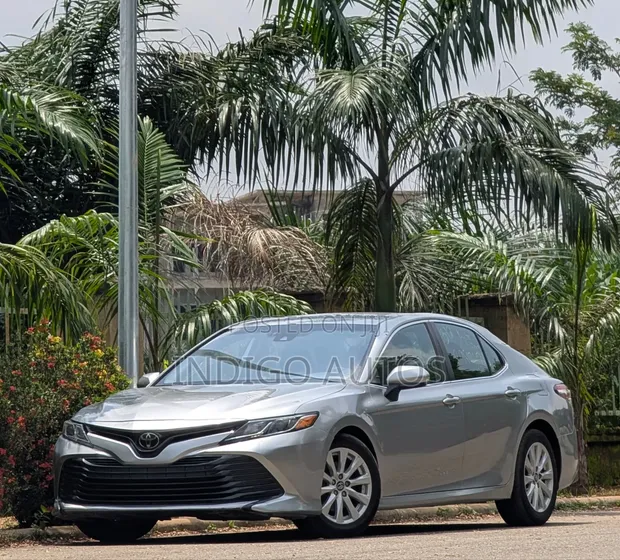 Toyota Camry LE 2019 Grey - 1