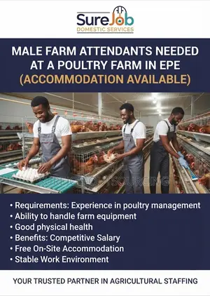 Male Farm Attendants Needed - Poultry Farm, Epe