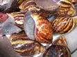 Snail Farming Training and Mentorship - 3