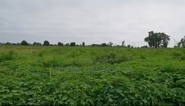 Hekta 5 na Filin Gona Mai Girma a Kuje, Abuja - 1