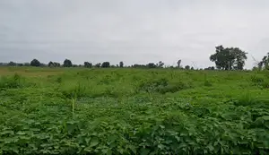 5 Hectares Comprehensive Land for Sale in Kuje, Abuja