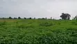 5 Hectares Comprehensive Land for Sale in Kuje, Abuja - 1