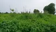 5 Hectares Comprehensive Land for Sale in Kuje, Abuja - 2