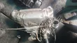Cikakken Turbocharger don Range Rover Evoque 2013 - 1